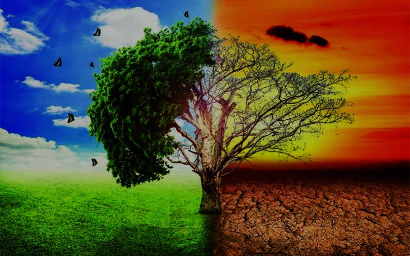 পৃথিবী ও জলবায়ু পরিবর্তনের প্রতীকী চিত্র